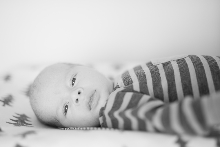 calgary baby photography